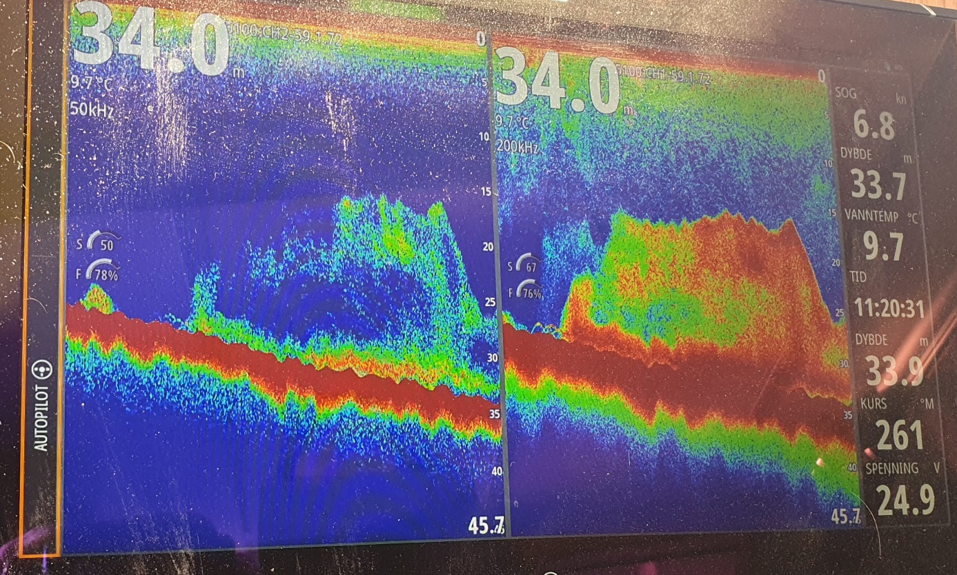 Figur 6.  Makrellstim på ekkolodd. Klokkeslett er feil, bilde er fra kl. 09:20 UTC og viser stimen omringet i kast 2. 