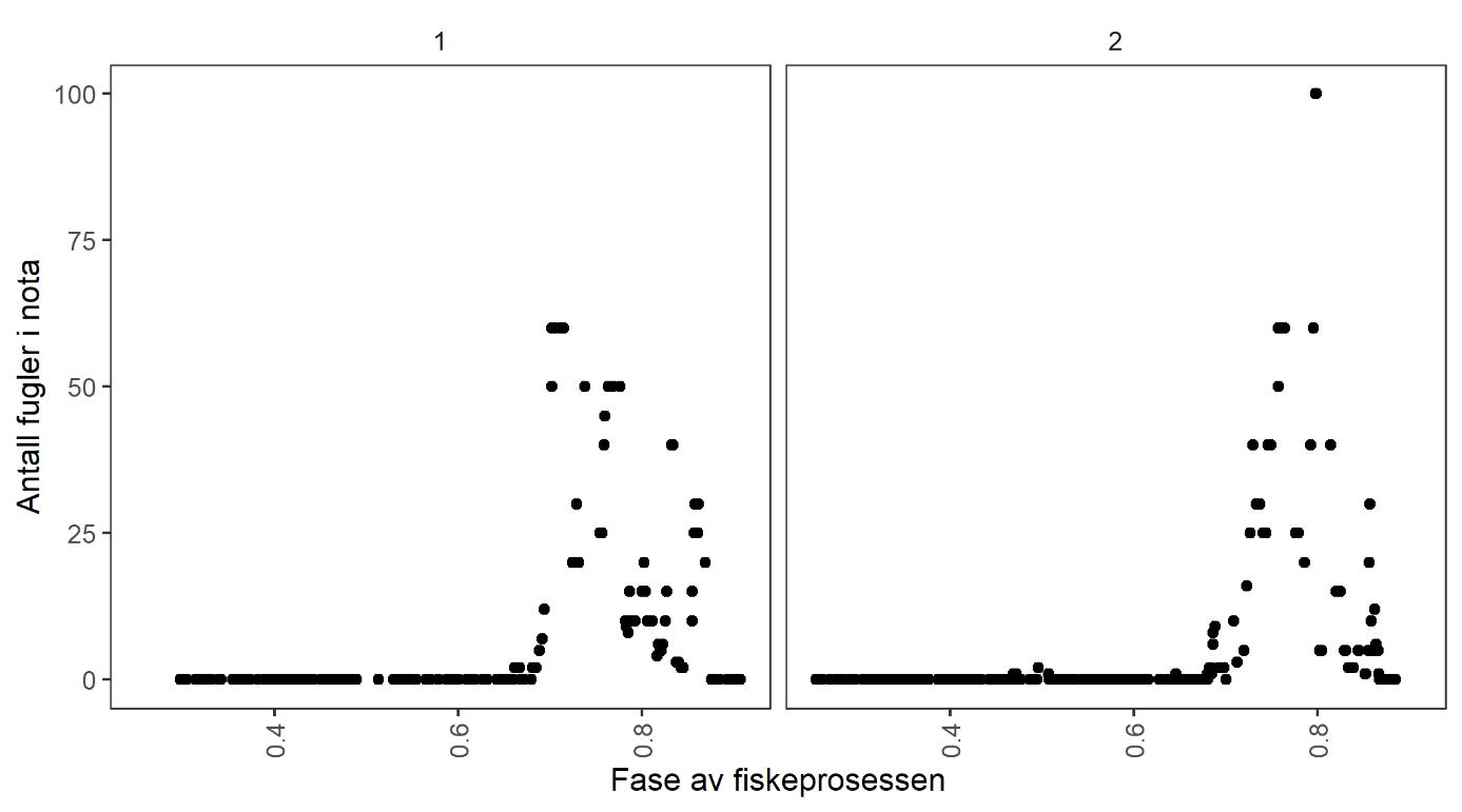 Figur 13 . Antall fugler estimert i nota i kast 1 og 2 og i forhold til fase av fiskeprosessen definert som registreringstidspunkt i minutter fra start av fiske delt på total lengde av fiskeprosessen fra utsetting av not til klargjøring for pumping.