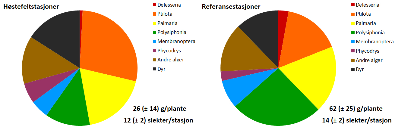 Figur 19. Gjennomsnittlig relativ forekomst av slekter/grupper av epifytter på stortarestilker samlet inn i høstefelt (venstre diagram) og referanseområder (høyre diagram) i Rogaland og Vestland i april-mai 2023. Fagerving ( Delesseria ), draugfjær ( Ptilota ), søl ( Palmaria ), dokke ( Polysiphonia ), smalving ( Membranoptera ), eikeving ( Phycodrys ), andre alger og dyr. Gjennomsnittlig (± 95 % konfidens intervall) biomasse av epifytter per tareplante og gjennomsnittlig (± 95 % konfidens intervall) antall registrerte slekter-grupper av epifytter per prøvetakingsstasjon er angitt nederst til venstre i hvert diagram.