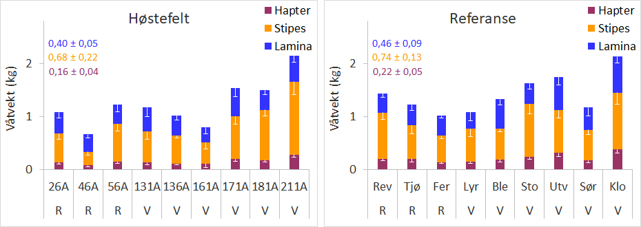 Figur 14. Gjennomsnittlig lengde (i meter) av stilk (stipes) og blad (lamina) hos stortareplanter samlet inn på stasjoner i felt høstet fire år tidligere (venstre panel) og uhøstede referanseområder (høyre panel) i Rogaland (R) og Vestland (V) i april-mai 2023. Nedre grense for 95 % konfidensintervall er tegnet inn. De totale gjennomsnittslengdene ± 95 % konfidensintervall for de ulike plantedelene for alle stasjoner i henholdsvis høstefelt og referanseområder er angitt øverst til venstre i hvert panel. Stasjonene er listet fra sør (til venstre) mot nord (til høyre). Høstefeltstasjonene er angitt med nummer og referansestasjonene med forkortet navn (se Figur 1 og Appendix 3 for detaljer).