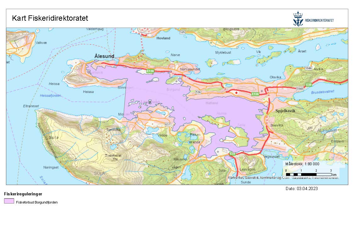 Kart som viser hvor det er fiskeforbud i Borgundfjorden.