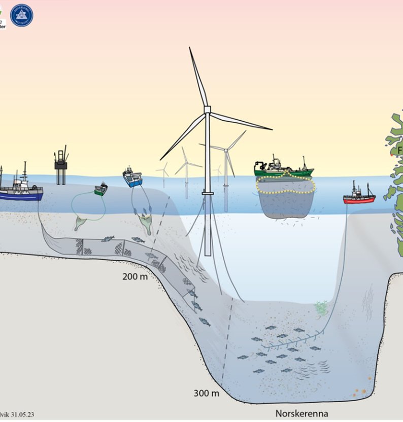 
Picture 4 Skisse fiskeriaktivitet Hywind Tampen