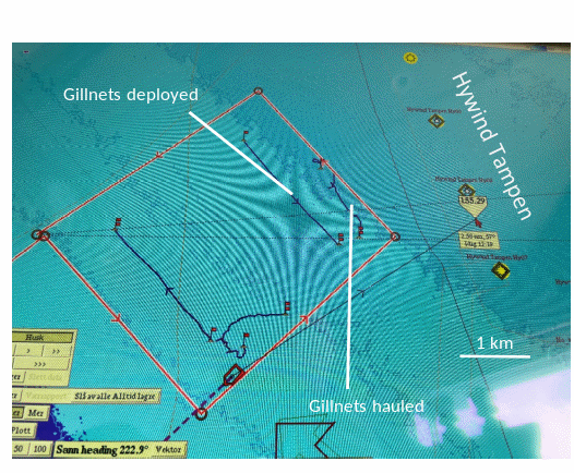 Viser hvor langt garnlenker har driftet. Utskrift fra kartplotteren til en garnfiskebåt fra garnsetting ved havvindanlegget Hywind Tampen