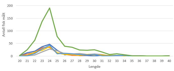 Antall fisk målt og lengdefordeling av kolmule.