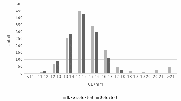 Størrelsesfordeling av selekterte og ikke selekterte reker fanget på toktet i april/mai 2022.