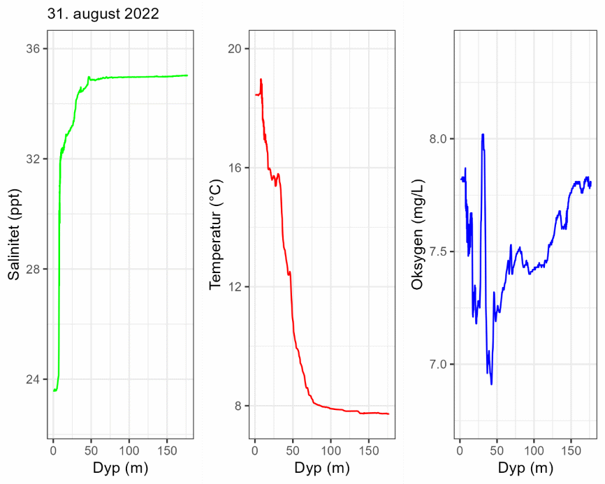 CTD-profil 31. august 2022.