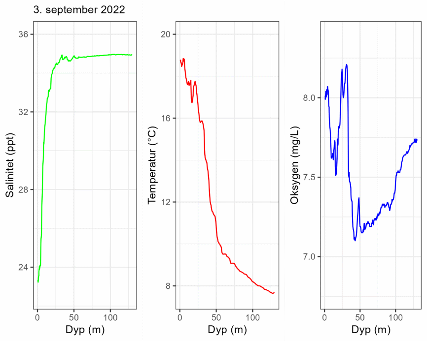 CTD-profil 3. september 2022.