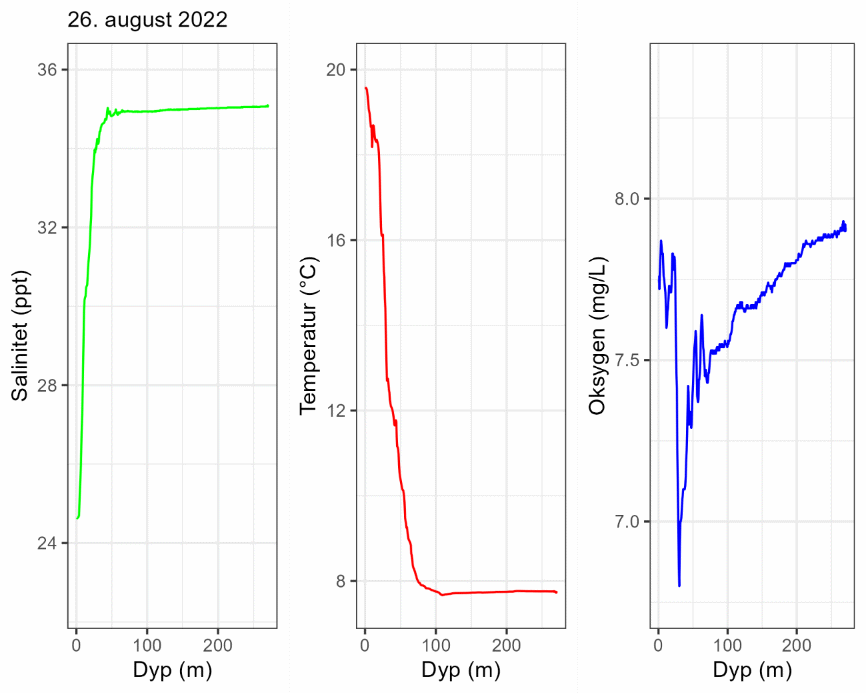 CTD-profil 26. august 2022.