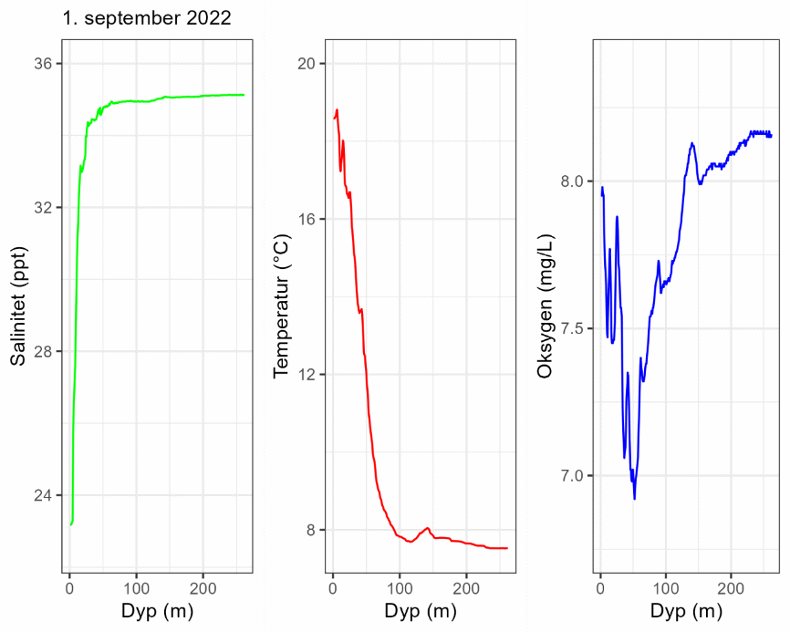 CTD-profil 1. september 2022.