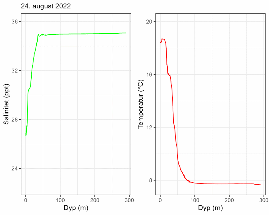 Salinitet- og temperaturprofil 24. august 2022.