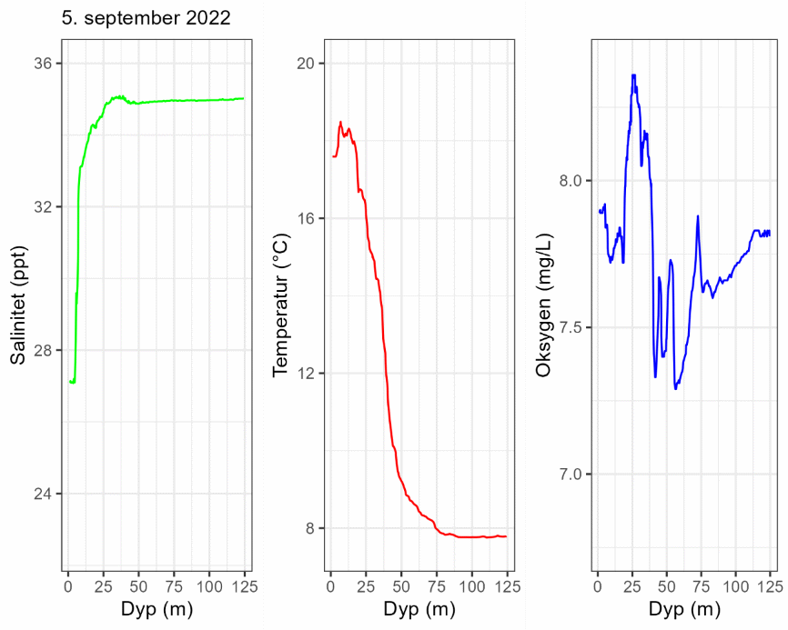 CTD-profil 5. september 2022.