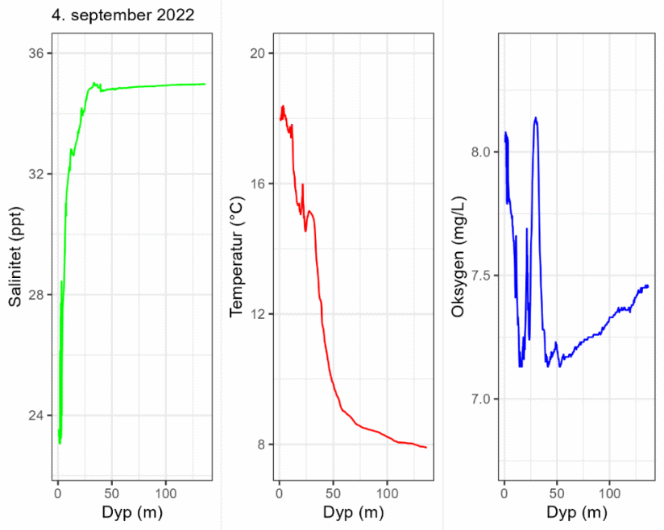 Dybdeprofiler for salinitet, temperatur og oksygen tatt på fiskefeltet den 4. september 2022.