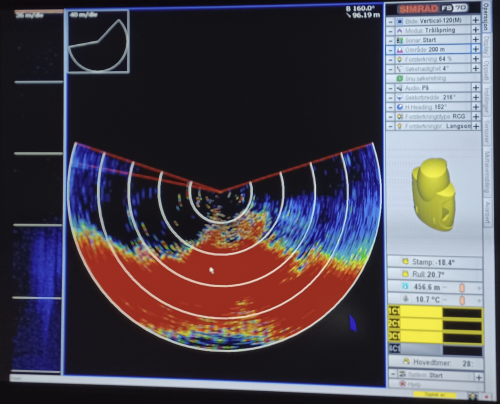 Bilde fra trålsonar. Det er ikke lett å se trålen, høyden har vi estimert til ca. 130 m (litt mer enn de tre innerste ringene).