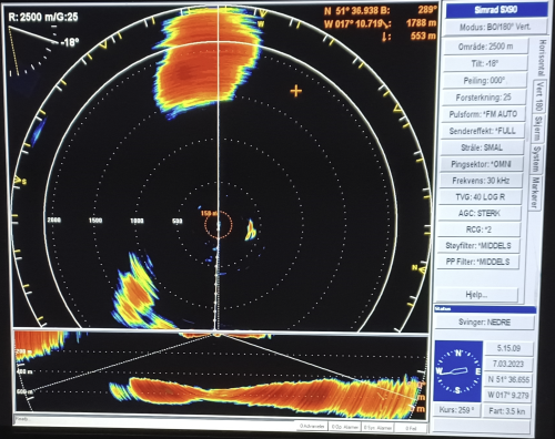 Sonarbilde fra fiskestimen i første hal.