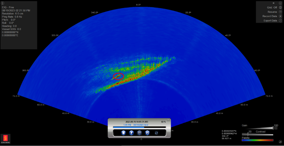 Sonar screendump.