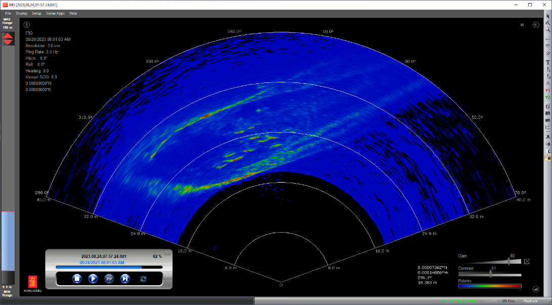 Sonar screendump.