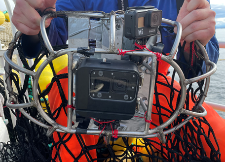 Camera frame and camera in the transfer channel.