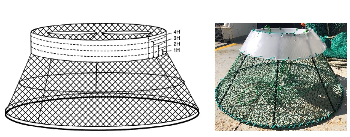 Bilde av teiner med plastkrage