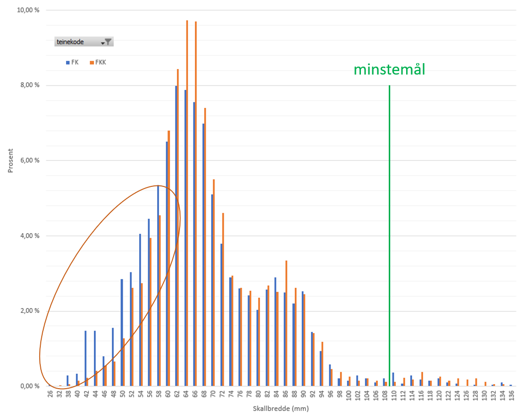 Bildet viser graf av størrelsesfordeling for kontroll mot teiner med krage