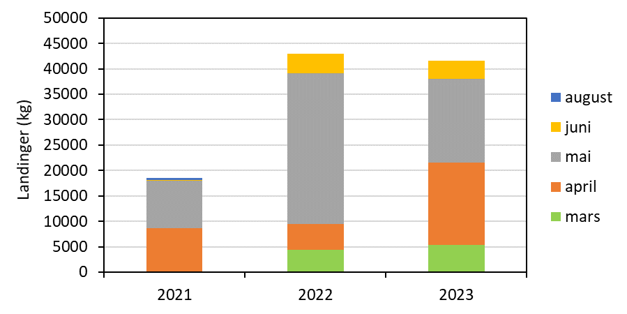 Figuren viser et stolpediagram med årene 2021, 2022 og 2023 langs x-aksen og rekelandinger (kg) tatt med bunntrål langs y-aksen, med mengde landinger per måned angitt med forskjellig farge. Y-aksen går fra 0 kg til 50 000 kg. Det er en stolpe for hvert av de tre årene som består av sammenlagte landinger fra månedene mars (grønn), april (oransje), mai (grå), juni (gul) og august (blå). Trållandingene i 2021 var på litt under 20.000 kg, mens de var på litt over 40.000 kg både i 2022 og 2023