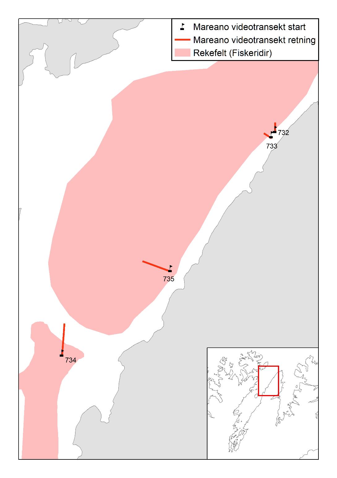 Figuren viser et utsnitt av ytre Porsangerfjorden der det grå er land og det rosa representerer rekefelt. Små flagg viser startposisjon for Mareano-transektene mens røde linjer viser lengde og retning. De tre nordligste av de fire videotransektene (732, 733 og 735) er plassert på østsiden av fjorden, helt i kanten av rekefeltene, omtrent 1000 til 1300 meter fra land. Den fjerde (734) er plassert litt lengre sør, og omtrent midt i fjorden