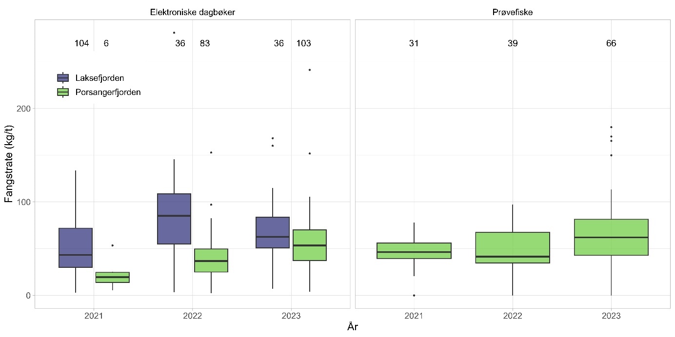 Figuren viser to boksplott der data fra Laksefjorden er representert med lilla bokser og data fra Porsangerfjorden er grønne bokser. X-aksen (år) viser årene 2021, 2022 og 2023 og Y-aksen (fangstrate (kg/t)) går fra 0 til ca. 320 kg. Boksplottet til venstre sammenligner fangstraten fra elektroniske dagbøker fra ytre Porsangerfjorden med fangstraten fra Laksefjorden, boksplottet til høyre viser årlige fangstrater fra prøvefisket. Tallene øverst viser antall hal hvert boksplott baserer seg på. For elektroniske dagbøker er det henholdsvis 104, 36 og 36 for Laksefjorden og 6, 83 og 103 for Porsangerfjorden. Mens det for prøvefisket er 31, 39 og 66 fra Porsangerfjorden. Fangstraten var høyere i Laksefjorden i 2021-2022, mens den i 2023 var noenlunde lik i Laksefjorden og Porsangerfjorden. Fangstraten i Porsangerfjorden økte fra 2021 til 2023, særlig for dagboksdata og også for registreringene i prøvefisket