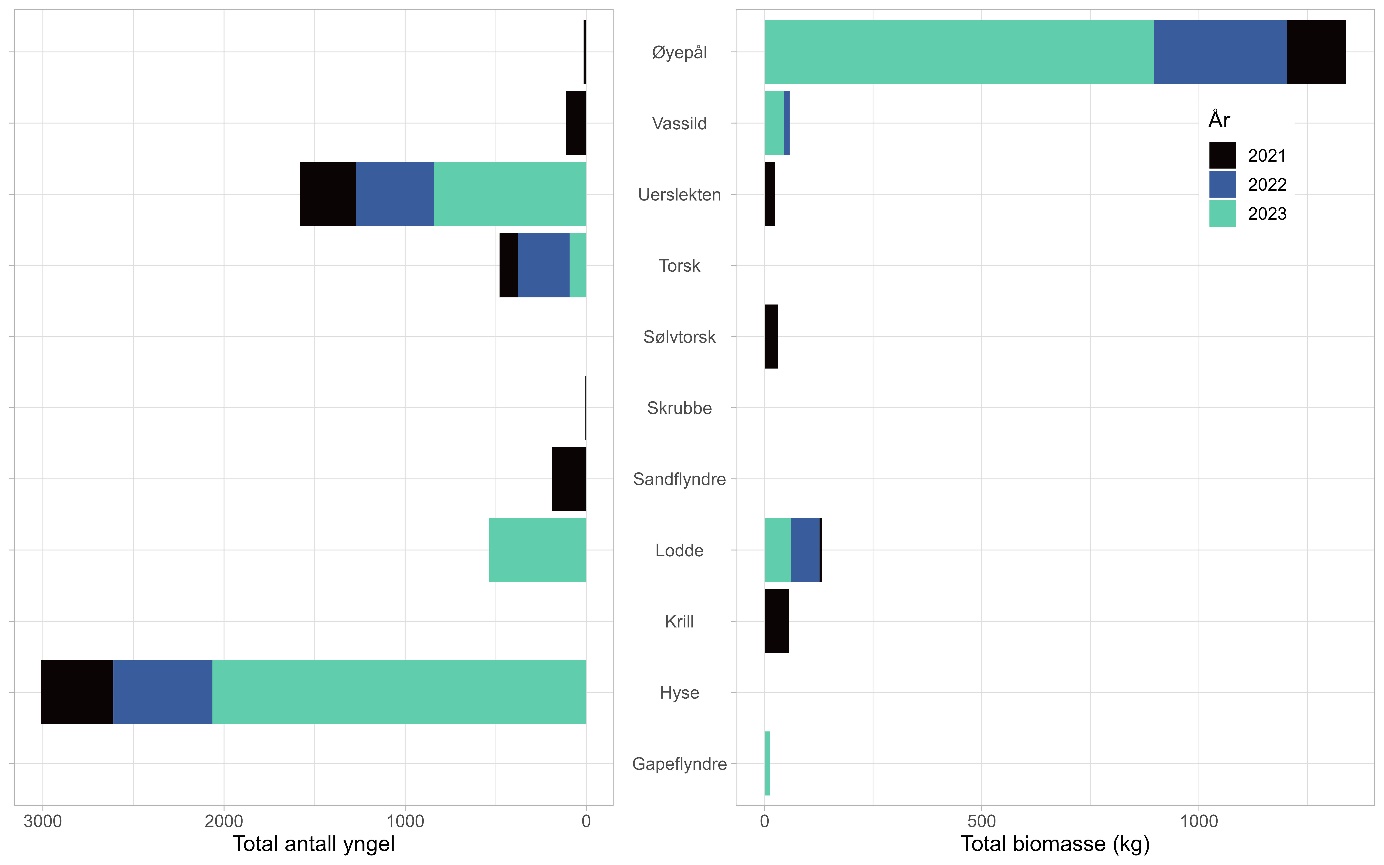 Figuren viser to horisontale, stablede stolpediagram med data fra 2021 (svart), 2022 (blå) og 2023 (grønn). Figuren til venstre angir bifangsten i antall, mens figuren til høyre angir den i kg. Noe bifangst ble rapportert i antall (særlig fiskeyngel) mens annen bifangst som øyepål ble rapportert som vekt. Y-aksen viser de ulike artene og er listet fra øverst til nederst: Øyepål, Vassild, Uerslekten, Torsk, Solvtorsk, Skrubbe, Sandflyndre, Lodde, Krill, Hyse og Gapeflyndre. X-aksen går fra 0 til 3000, og 0 er innerst ved Y-aksen. Av artene som ble oppgitt i vekt, dominerte øyepål. Av fiskeyngel er det hyse som dominerer særlig pga. mye bifangst i 2023