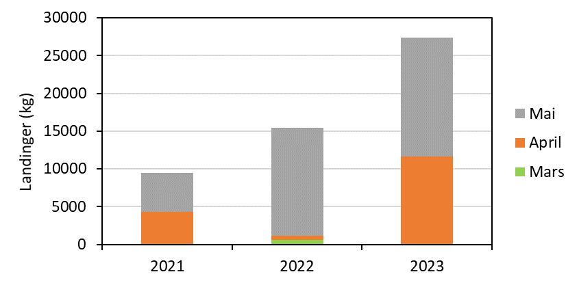 Figuren viser et stablet stolpediagram med årene 2021, 2022 og 2023 langs x-aksen og rekelandinger (kg) langs y-aksen, med mengde landinger per måned. Y-aksen går fra 0 kg til 30 000 kg. Det er en stolpe for hvert av de tre årene som består av sammenlagte langinger fra månedene mars (grønn), april (oransje) og mai (grå). Fangstene registrert i prøvefisket i 2021 var under 10.000 kg, så økte de til vel 15.000 kg i 2022, mens det 2023 ble sendt inn fangstregistreringer på vel 27.000 kg reke.