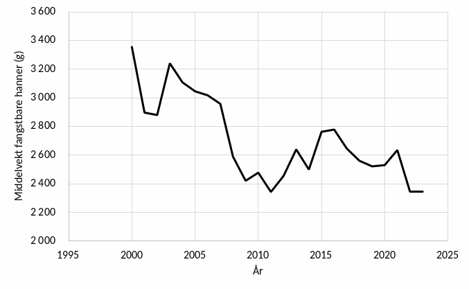 Gjennomsnittsvekt av hannkrabber over minstemålet (137 mm t.o.m. 2010, 130 mm f.o.m. 2011) i de årlige forskningstoktene i det kvoteregulerte området.