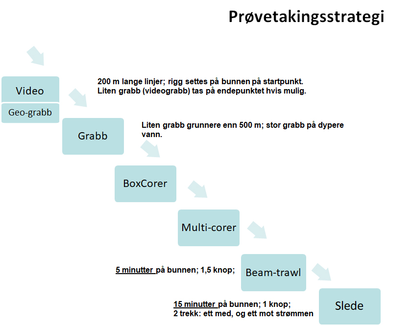 Figur 3. Flytdiagram for rekkefølge av prøvetakingsaktiviteter.