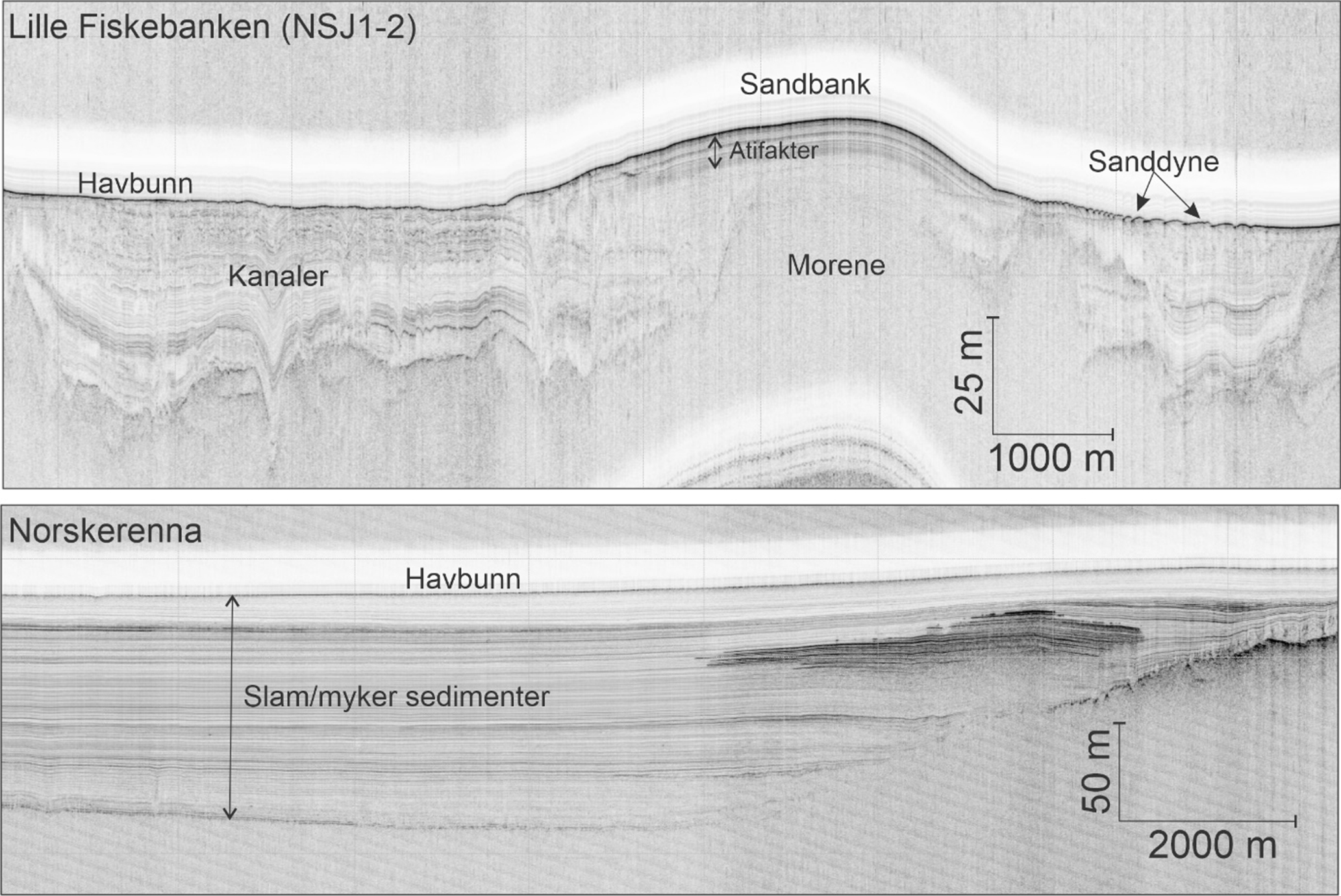 Figur 5. Mens den grunnseismiske linja fra Norskerenna vise ren jevn slam-sedimentering har Lille Fiskebank en mer kompleks geologisk historie med morene-avsetninger som senere har blitt utsatt for erosjon med dannelse av kanaler. Over dette har vannstrømmene senere dannet ulike formasjoner som sandbanker og sanddyner.