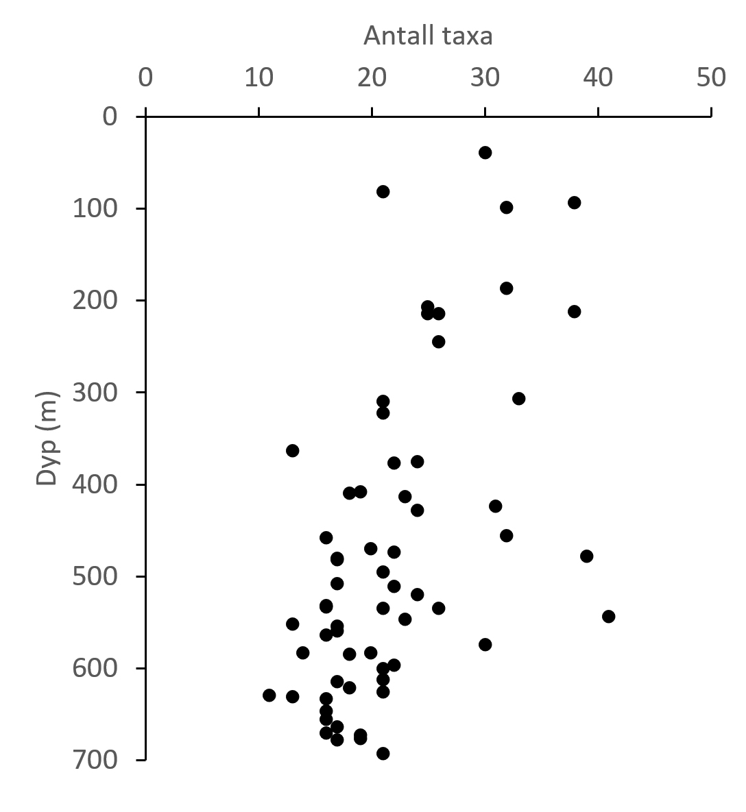 Figur 8. Antall observerte taxa per videostasjon plottet mot dyp.