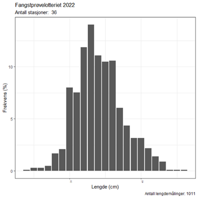 Figur 16a. Vassild 2022. Lengdefordeling basert på prøver fra fangstprøvelotteriet.