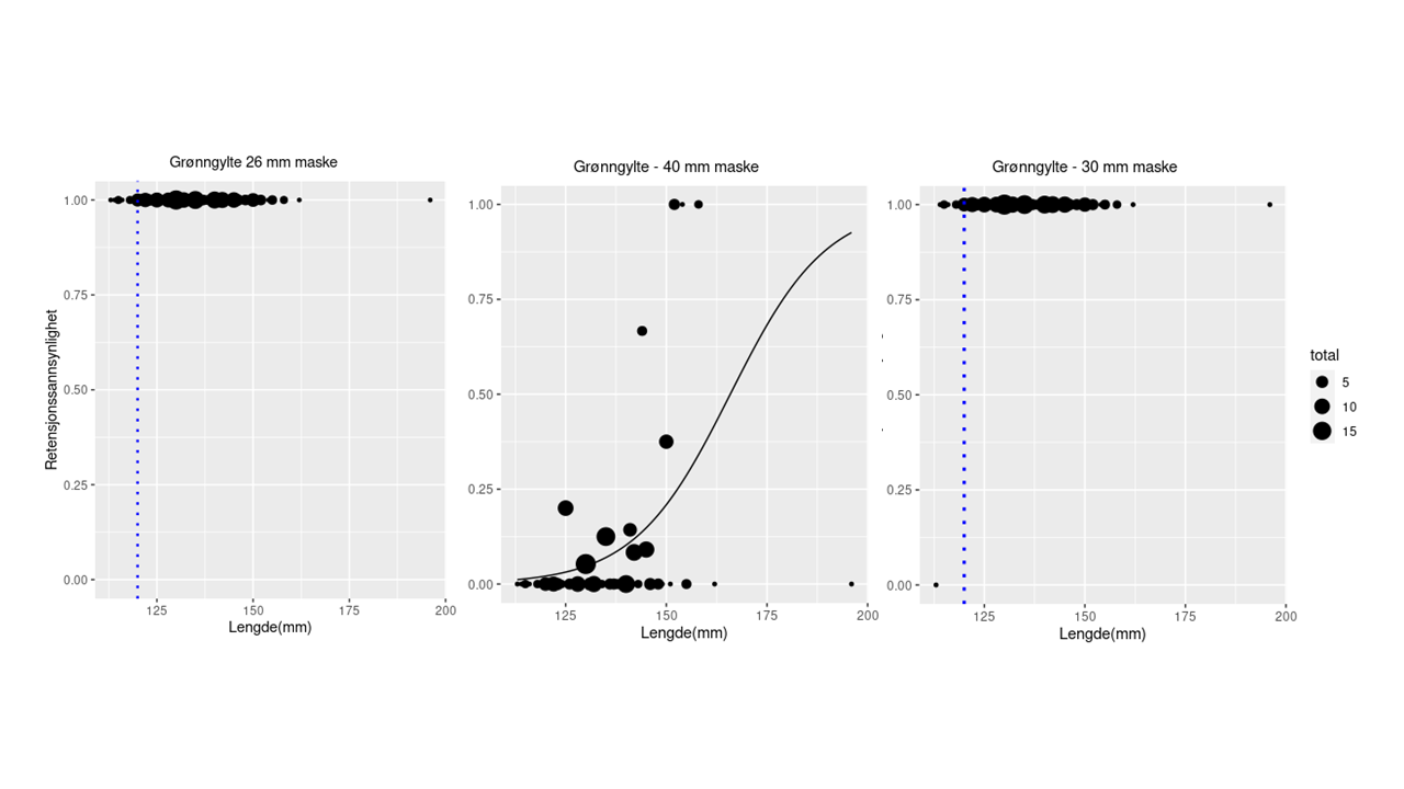 Retensjon for grønngylte for nominell maskevidde på 26 (øvre panel, til venstre), 30 (øvre panel, til høyre) og 40 mm (nederste panel). Kurven viser modellert retensjon (logit-modell) basert på de observerte data (fylte sirkler). Størrelsen på symbolene angir antall observasjoner for gitt lengdeintervall.