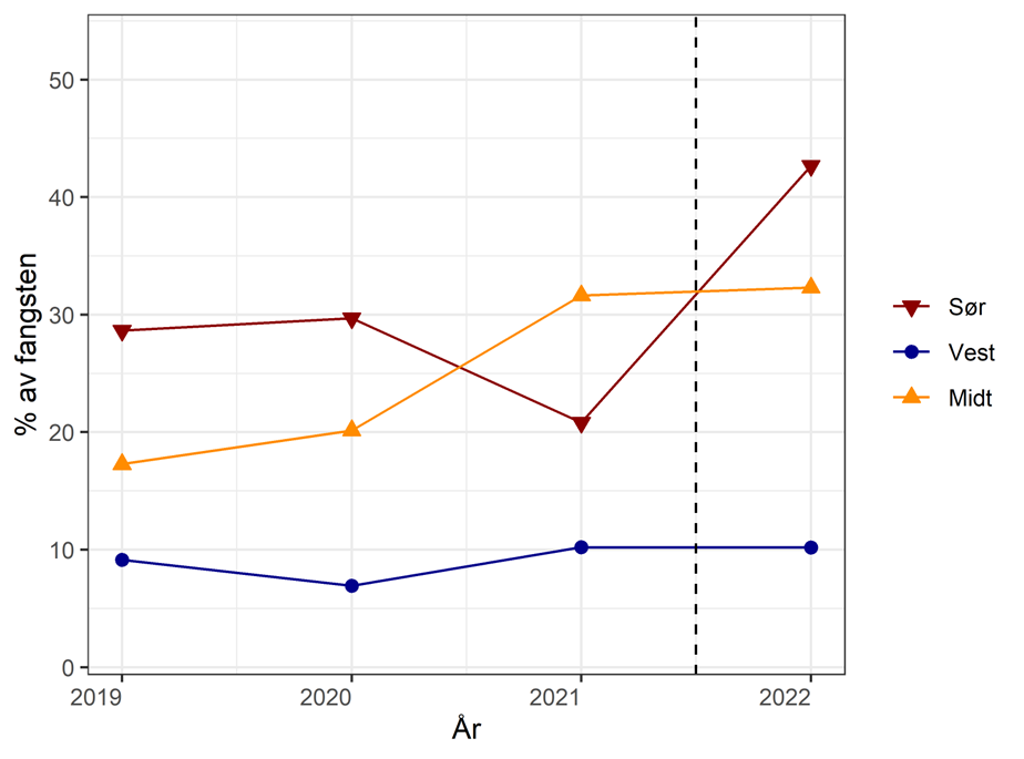 Andel berggylt som er større (eller like store) som maksimalmålet på 28 cm i de tre fangstområdene. Data fra referansefiskere 2019-2022. Lav andel stor berggylt i Vest (under 10 %). Høyere i Midt og Sør (15-45 %)