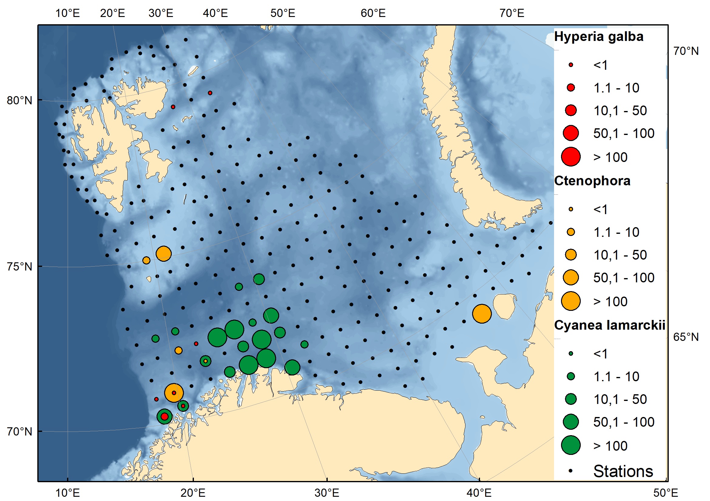 Figure 5.3.3.3. Distribution of other jellyfish in the surveyed area in August-October 2023. 