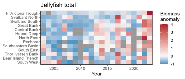 Figure 5.3.3.5. Geographical distribution of jellyfish, mainly C. capillata in 13 polygons in August-September 2003-2023.