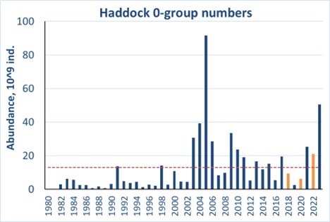 Figure 6.3.2. 0-group haddock estimates corrected for capture efficiency (Keff) for the period 1980-2023. Red line shows the long-term average. Abundance indices for 2018, 2020 and 2022 were corrected for lack of coverage and shown by orange columns.