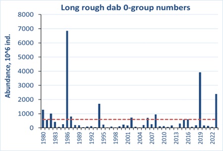 Figure 6.9.2. 0-group long rough dab abundance estimates were not corrected for capture efficiency for the period 1980-2023. Red line shows the long-term average.