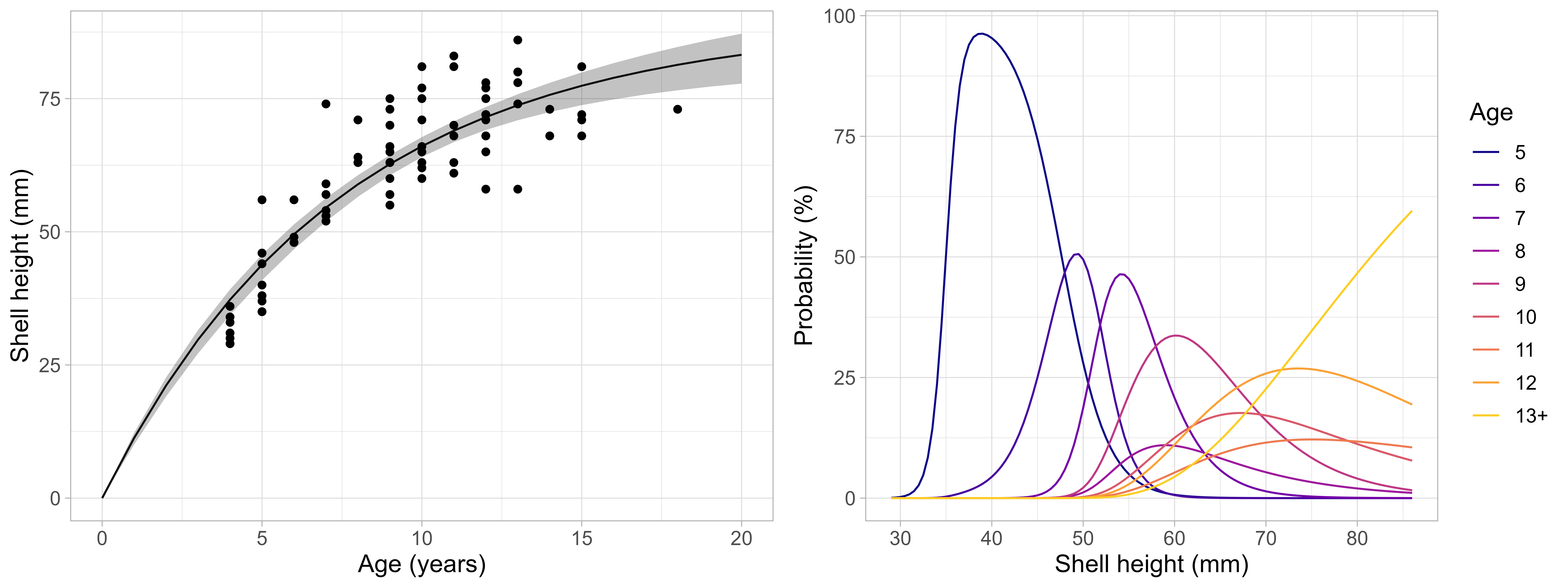 Age-length relationship for scallops observed on Moffen and Parryflaket beds. Left figure shows shell height at age and estimated Von Bertalanffy growth curve (line = mean, shaded area = 95% confidence intervals), and estimated probability of being at a specific age for a given shell height.