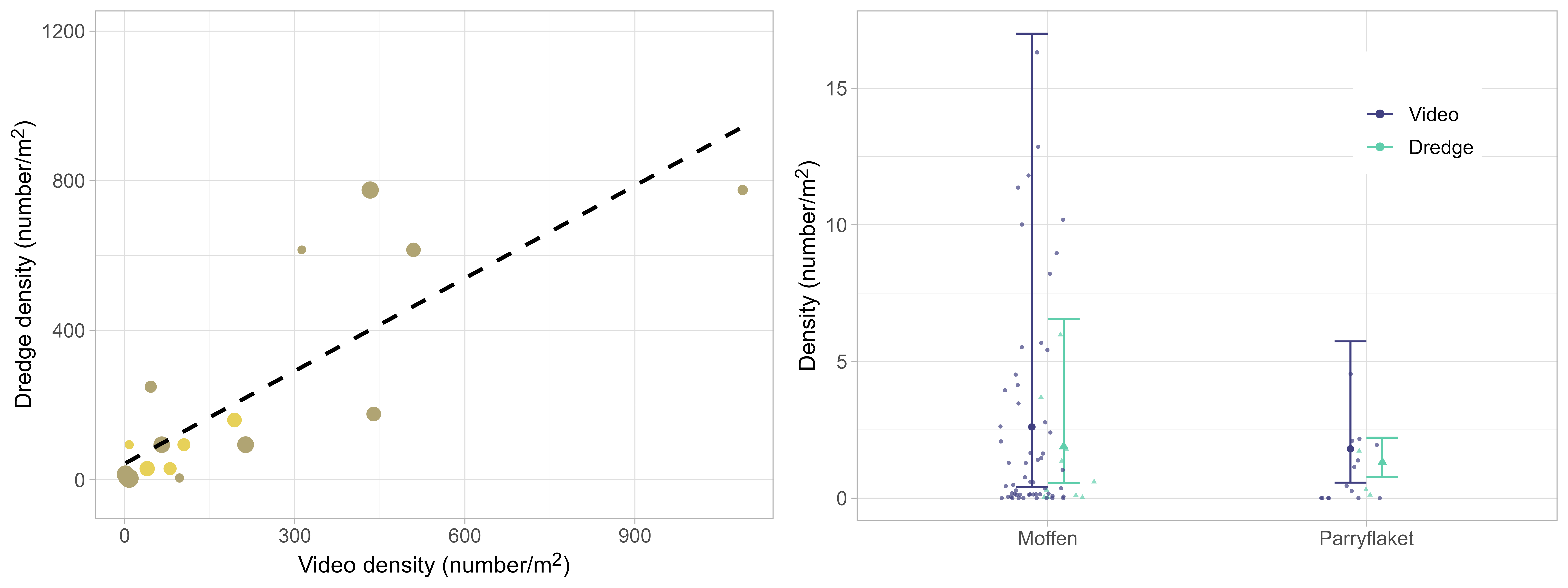 Observed densities as number of scallops per m2 caught by dredging and counted on video transects. Dots are pairs of parallel dredge and video stations with a maximum distance of 3 nmi between them. Size of dots is inversely scaled to their distance (the closer the larger) and colors represent the different scallop beds from the survey in 2022 (Moffen and Parryflaket). The dashed line represents a linear regression between the two gear types.