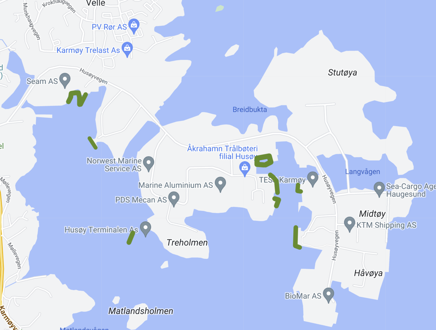 Dette er et kart som viser videotransekter kjørt ved Husøy uten funn av havnespy