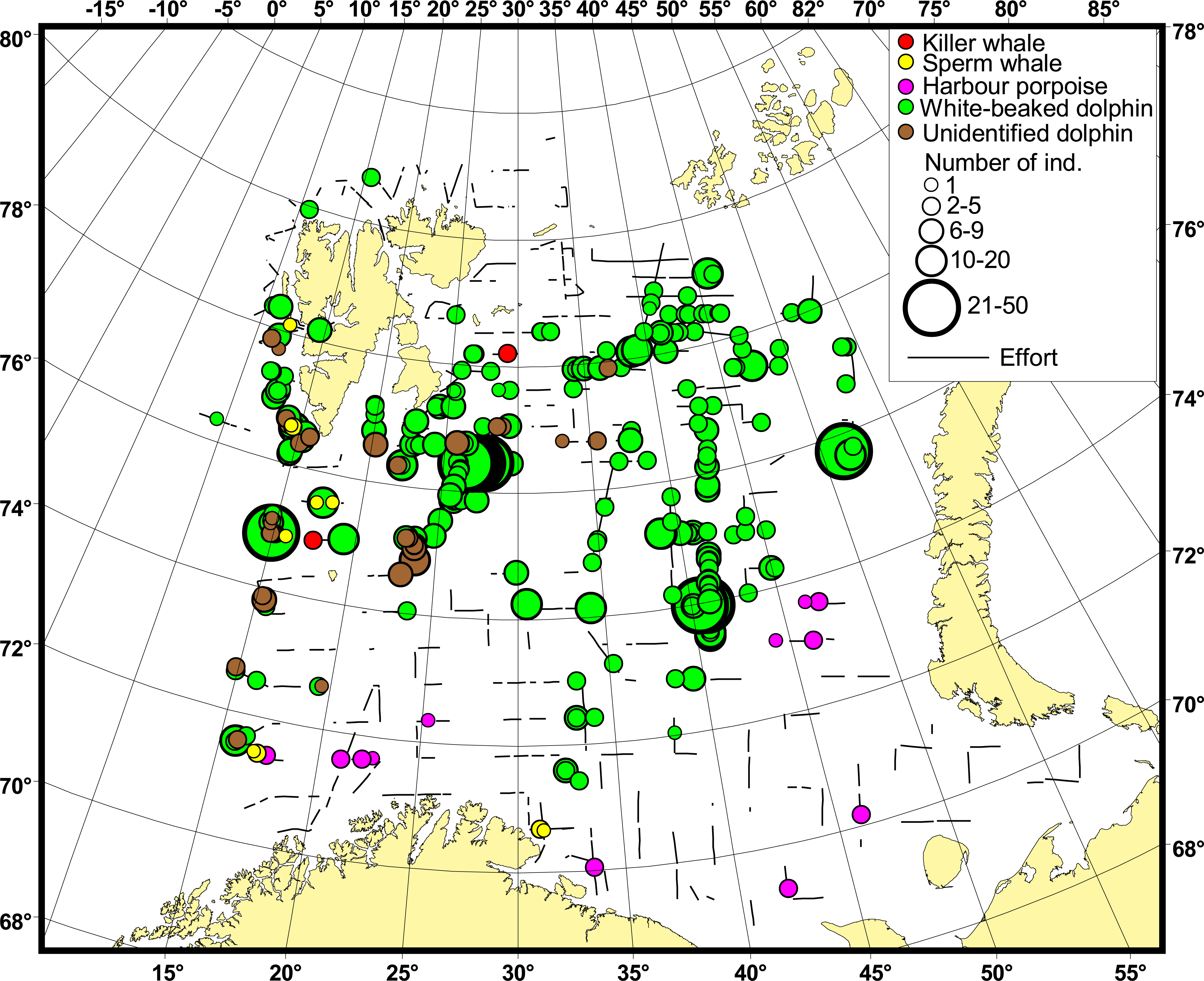 Figure 12.1.1. Distribution of toothed whales in BESS 2023