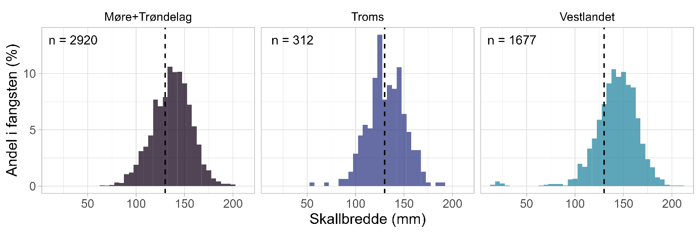 Størrelsesammensetning taskekrabbe ved de tre krabbetoktene i Hi-regi, i henholdsvis Møre og Trøndelag i 2021, Troms i 2023 og på Vestlandet i 2023.Den stiplete linjen indikerer minstemålet for krabber 130 mm. Skallbredde er den målte bredden på det bredeste på skallet. 