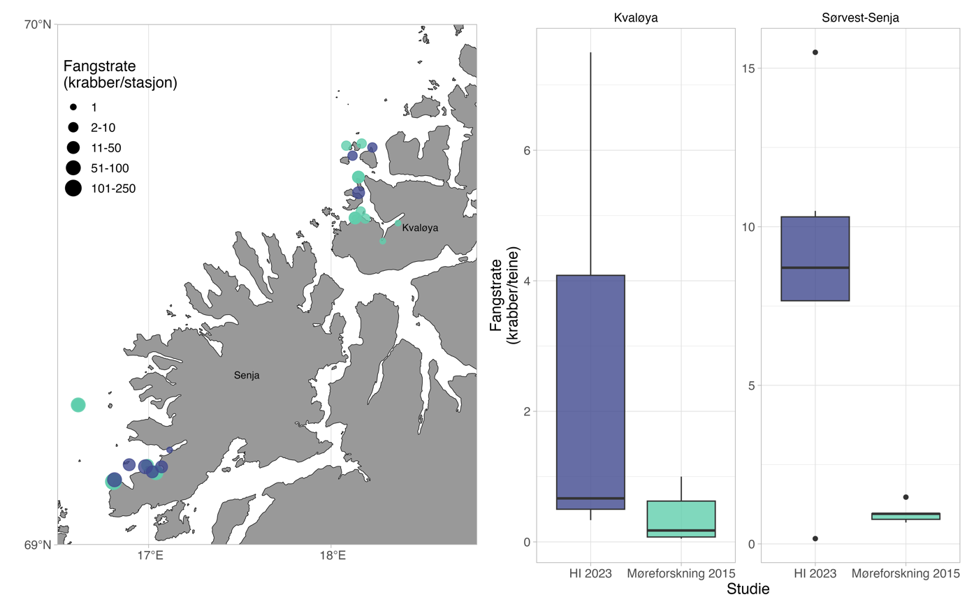 Sammenligning av taskekrabbeforekomster per stasjon (venstre) og -fangstrater per teine (høyre) mellom studien fra Møreforskning i 2015 og Havforskningsinstituttets tokt i august 2023. Størrelsen på prikkene indikerer antall krabber på hver stasjon. Det er kun stasjoner hvor taskekrabbe (Cancer pagurus) ble observert som er inkludert 