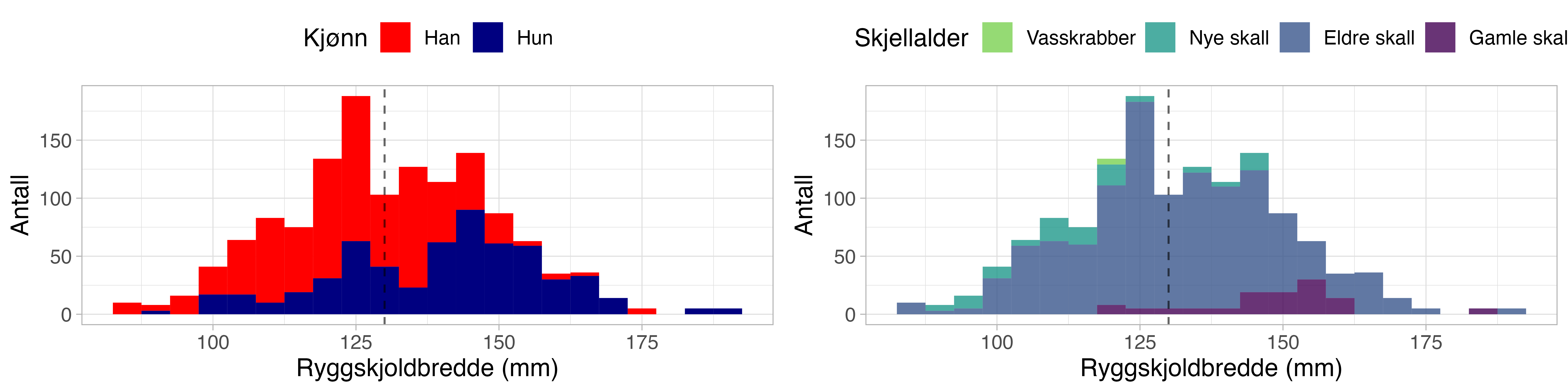 Størrelsesammensetning og skallalder taskekrabbe fra toktet i Troms 2023. Ryggskjoldbredde er målt på det bredeste på kabbeskallet (mm). Den stiplete linjen viser minstemålet på 130 mm skallbredde. Skallalderen er en kvalitativ bestemmelse av alderen på skallet og er en indikasjon på hvor lenge det er siden skallskiftet, der vasskrabber er nylig skiftet skall som enda er myke, mens de gamle skallene er godt begrodde og indikerer lang tid siden siste skallskifte.