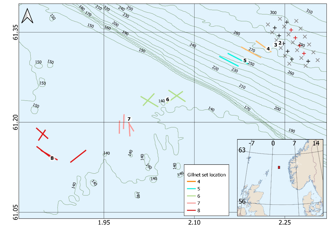 The setting positions of gillnets.