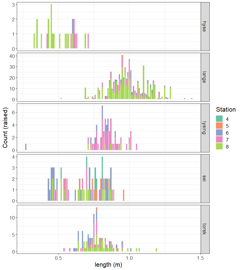 Length frequency distribution of fish, raised from the measured subsample to the total number caught per catch.