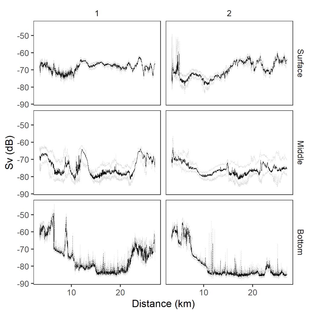 Acoustic backscatter registered in the Southwestern (SW) transect.