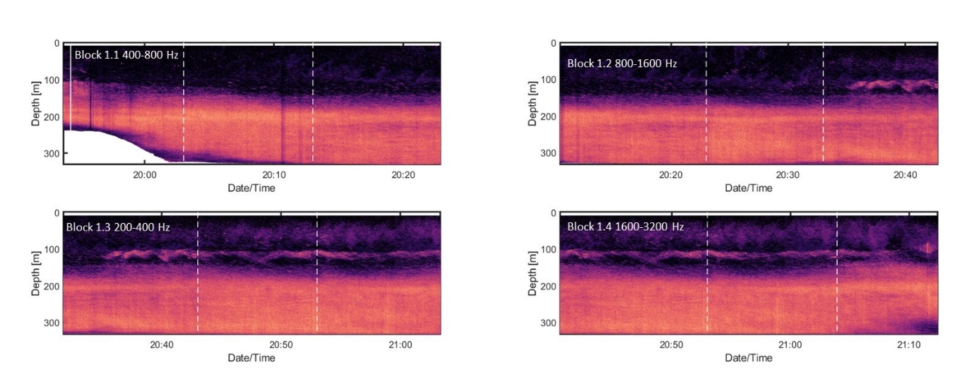 Echogram